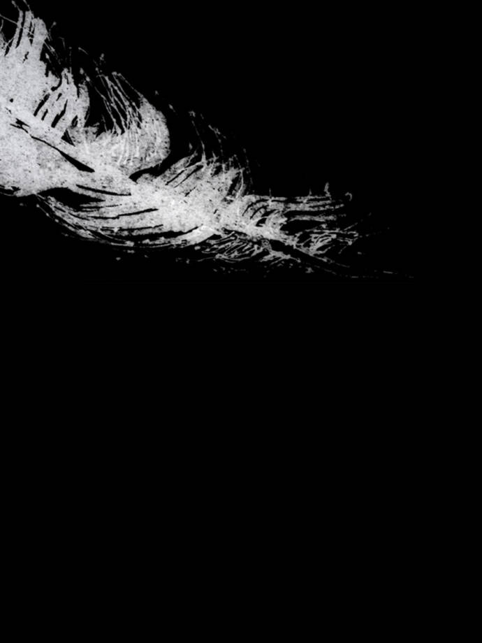 illustration of a white feather on a black background